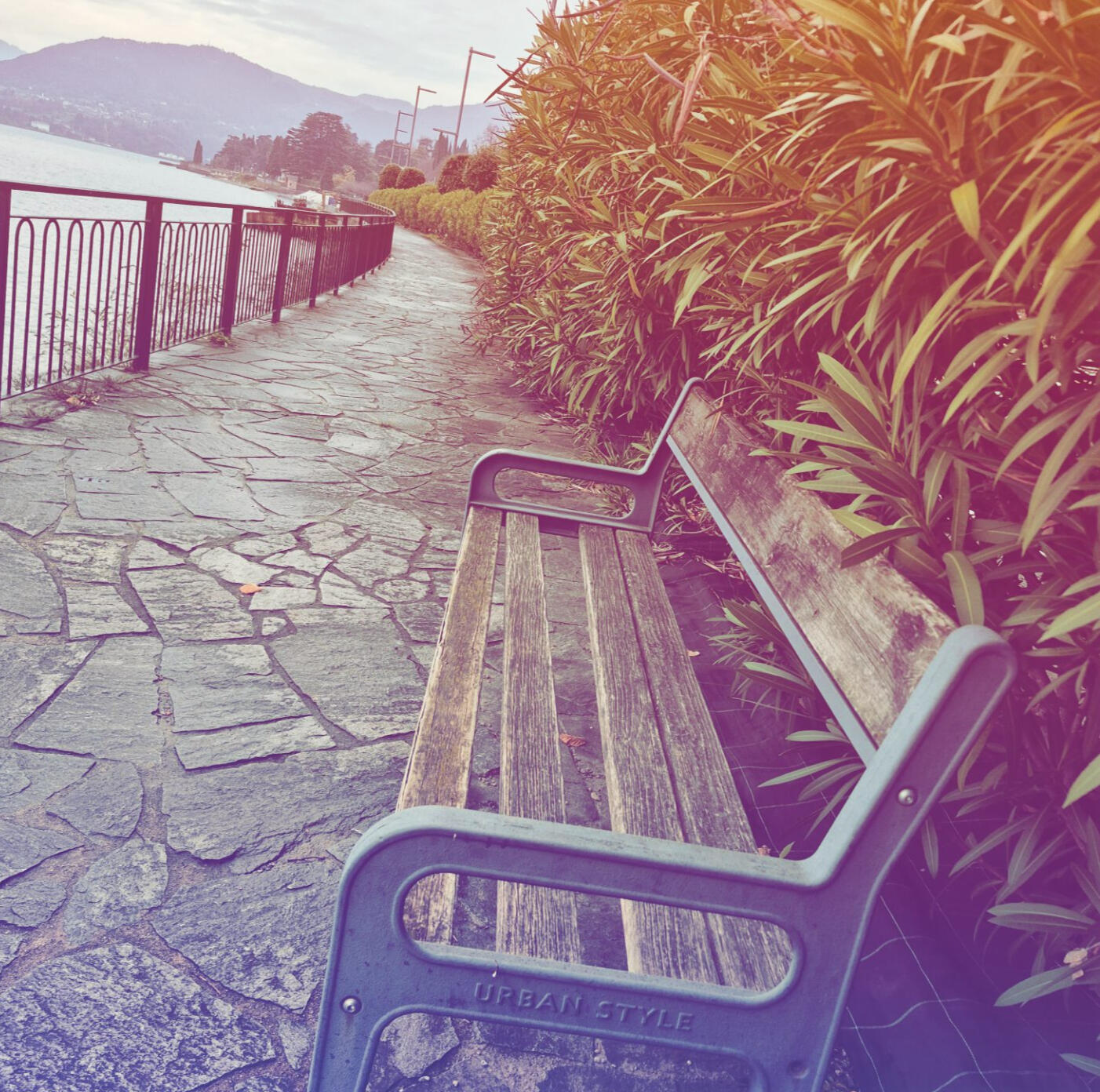 bench